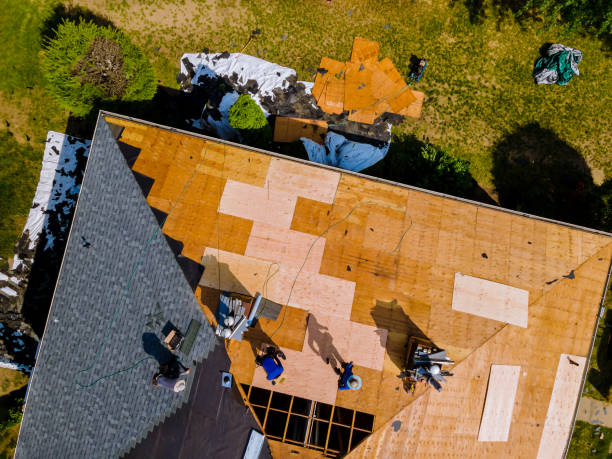 Best Storm Damage Roof Repair  in St Leo, FL