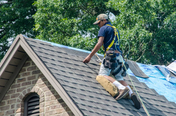 Best Affordable Roofing Company  in St Leo, FL